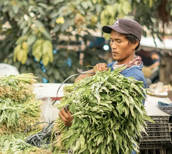 Wendell Berry said it best when he said that “eating is an agricultural act.” Our mission is to change the food system by providing a healthy, fresh alternative to industrial food.