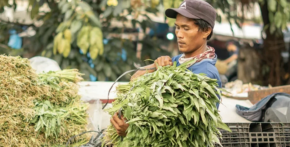 Wendell Berry said it best when he said that “eating is an agricultural act.” Our mission is to change the food system by providing a healthy, fresh alternative to industrial food.