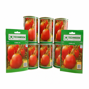 Cobra 26 Tomato Seeds