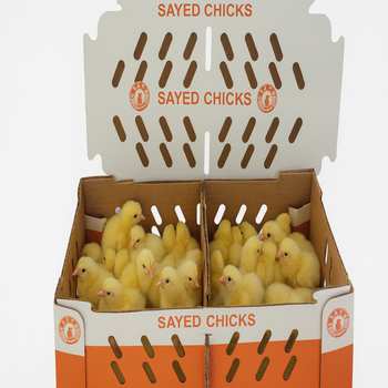 Sayed Broiler (Ross 308)